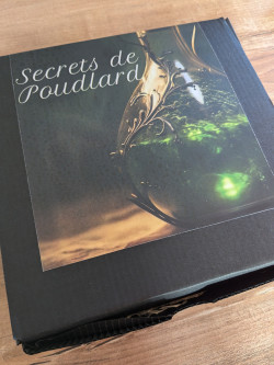 "Hogwarts" secrets "