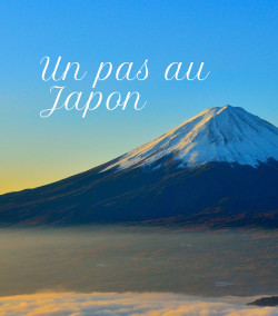 Caja "Un paso en Japón"
