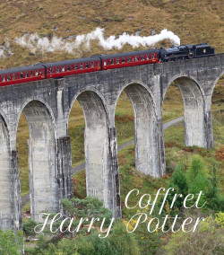 "Harry Potter" tea box