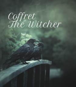 "The Witcher" tea box