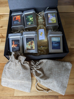 "Olympus Memory" box