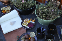 Atelier druidique sur Toulouse