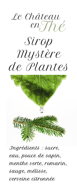 Sirop Mystère de Plantes