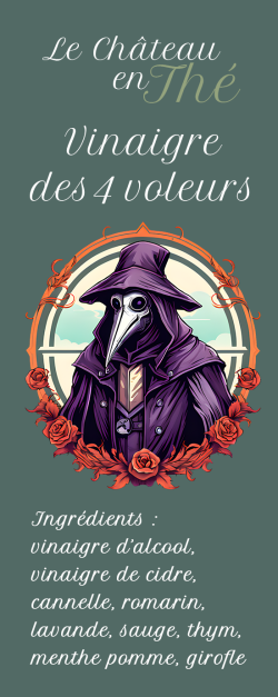 Vinegar of the 4 thieves