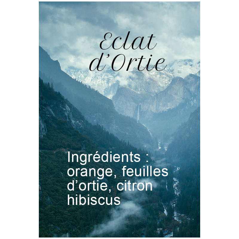 Eclat d'Ortie