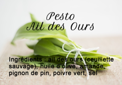 Pesto de ajo silvestre y almendras