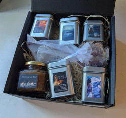 Caja de "memoria Olympus"