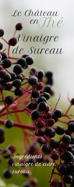 Vinaigre de Sureau