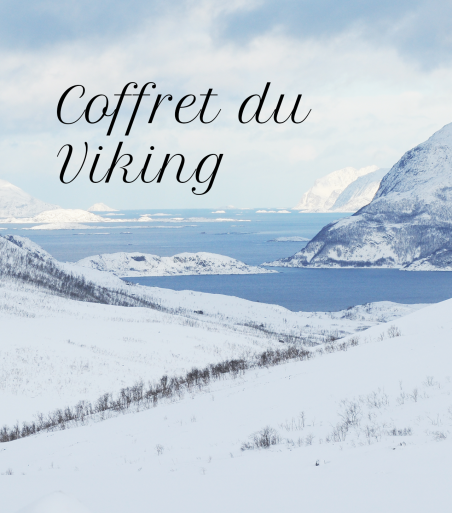 Coffret Viking