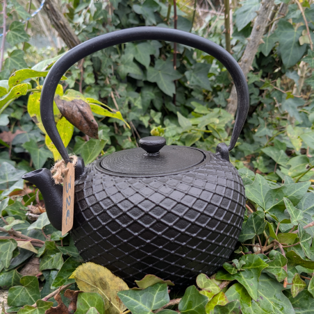 Théière noire en fonte