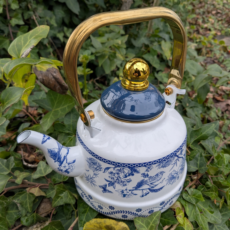Théière acier bleue et dorée