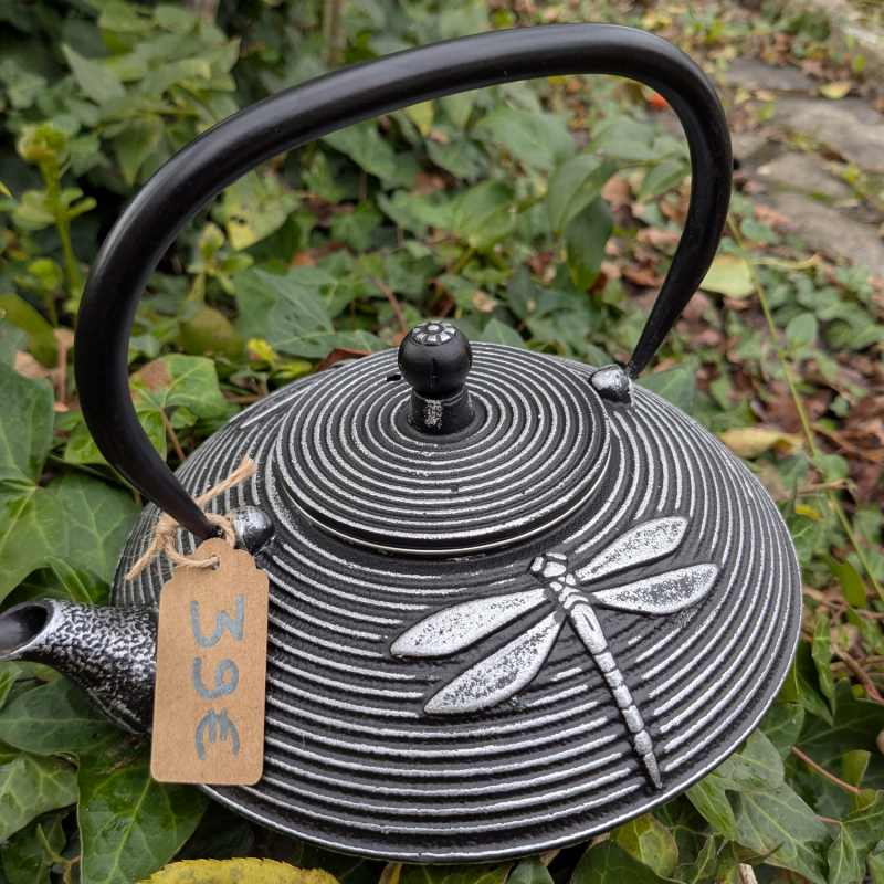 Théière libellule noire en fonte