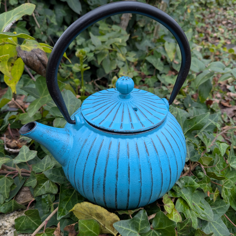 Théière bleue en fonte