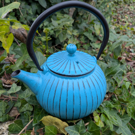Théière bleue en fonte