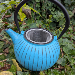 Théière bleue en fonte