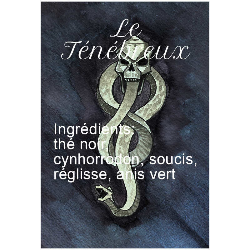 Le Ténébreux