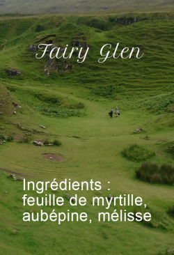 Fairy Glen