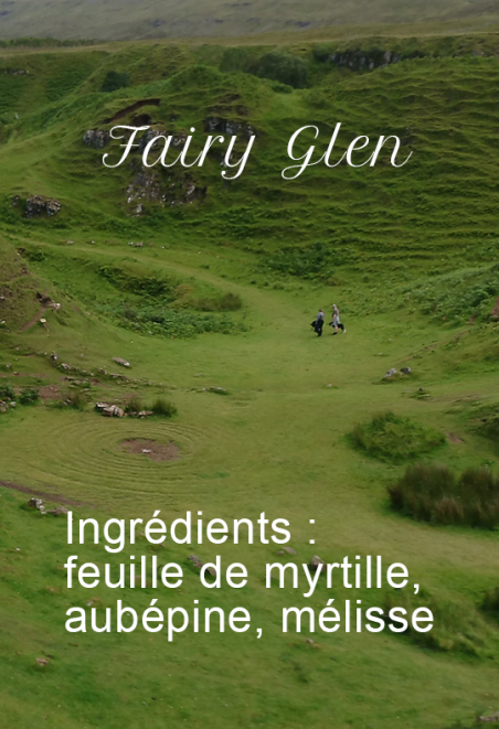 Fairy Glen