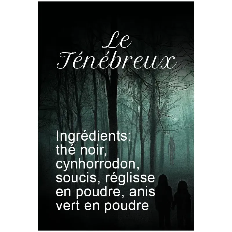 Le Ténébreux