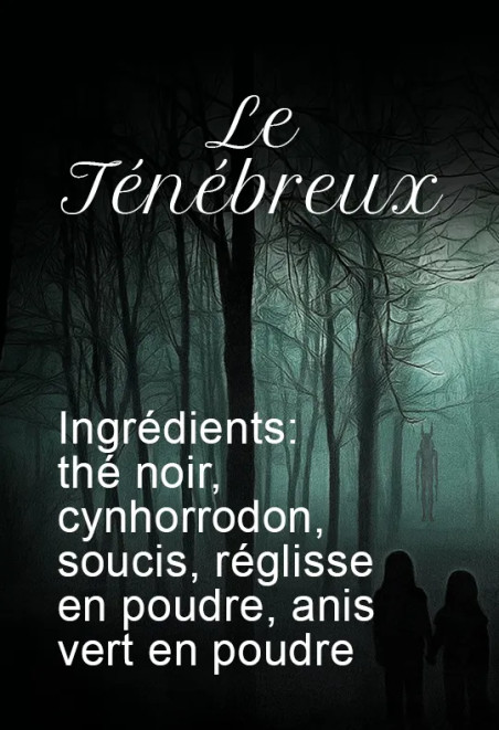 Le Ténébreux