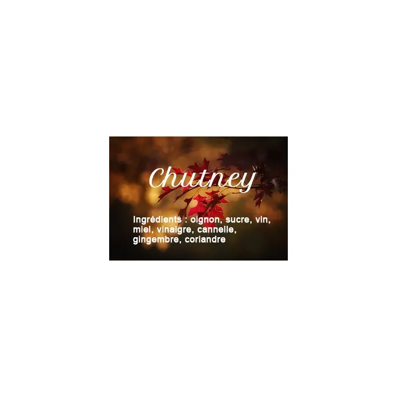 Chutney aux épices