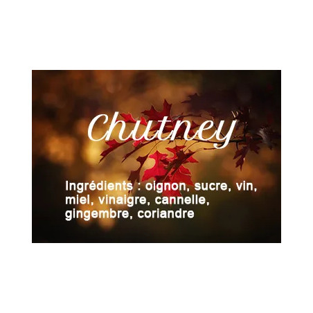 Chutney aux épices Chutney aux épices