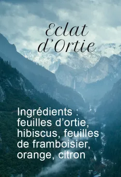 Tisane ortie et agrumes