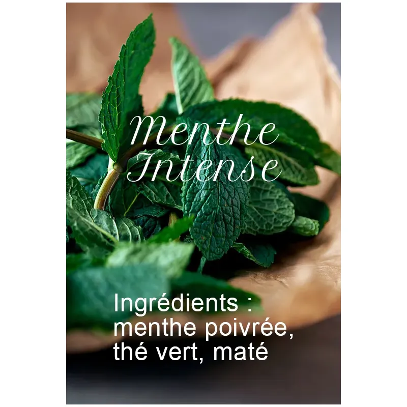 Mate té verde menta