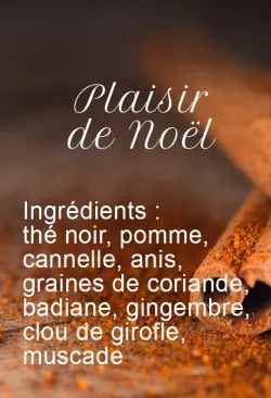Plaisir de Noël