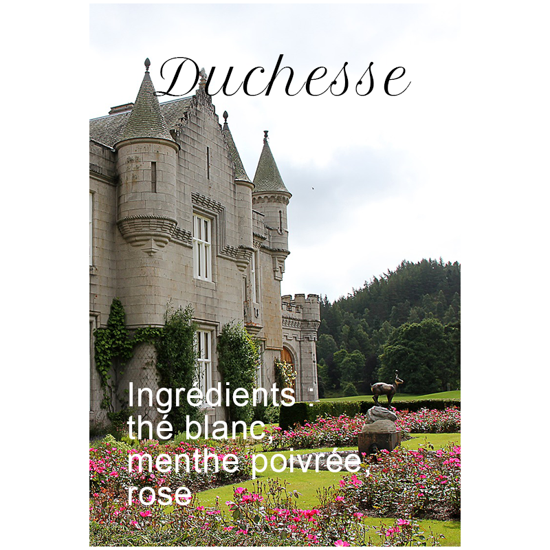 Duchesse