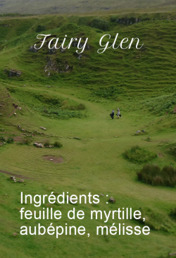 Fairy Glen
