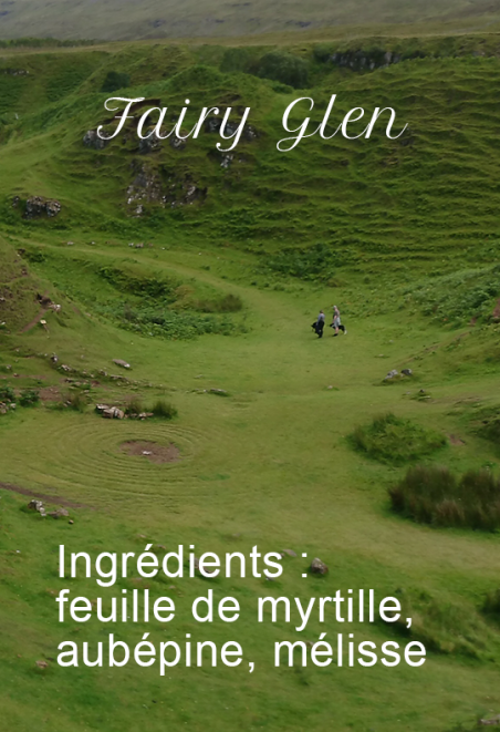 Fairy Glen