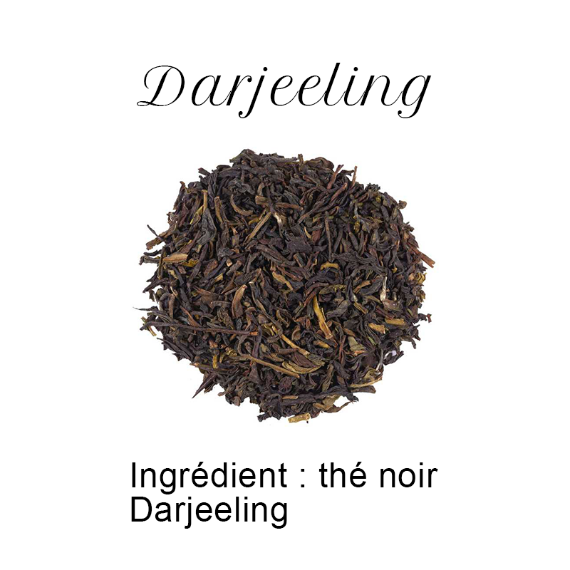 Thé noir Darjeeling