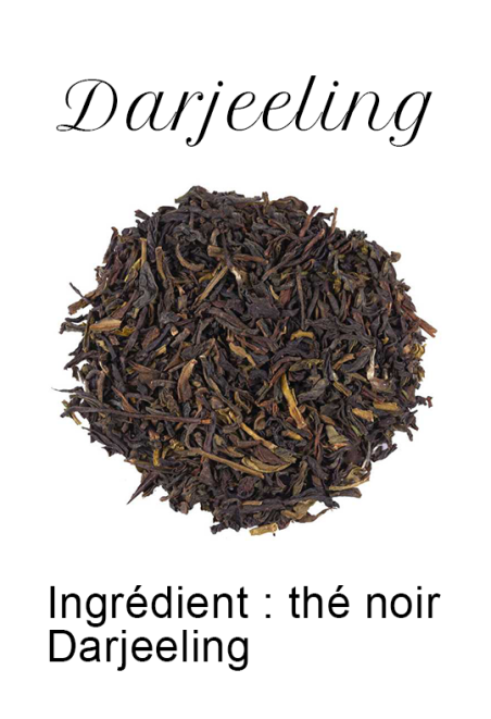 Té negro Darjeeling