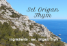 Salt with oregano and thyme