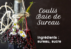 Coulis de Baie de Sureau