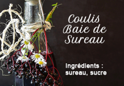 Elder Bay Coulis