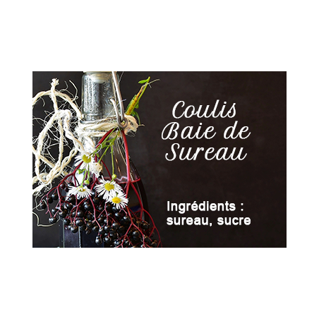 Elderberry coulis