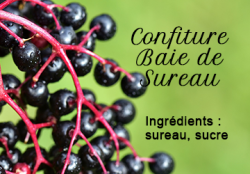 Confiture de Baie de Sureau