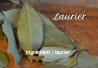Laurel
