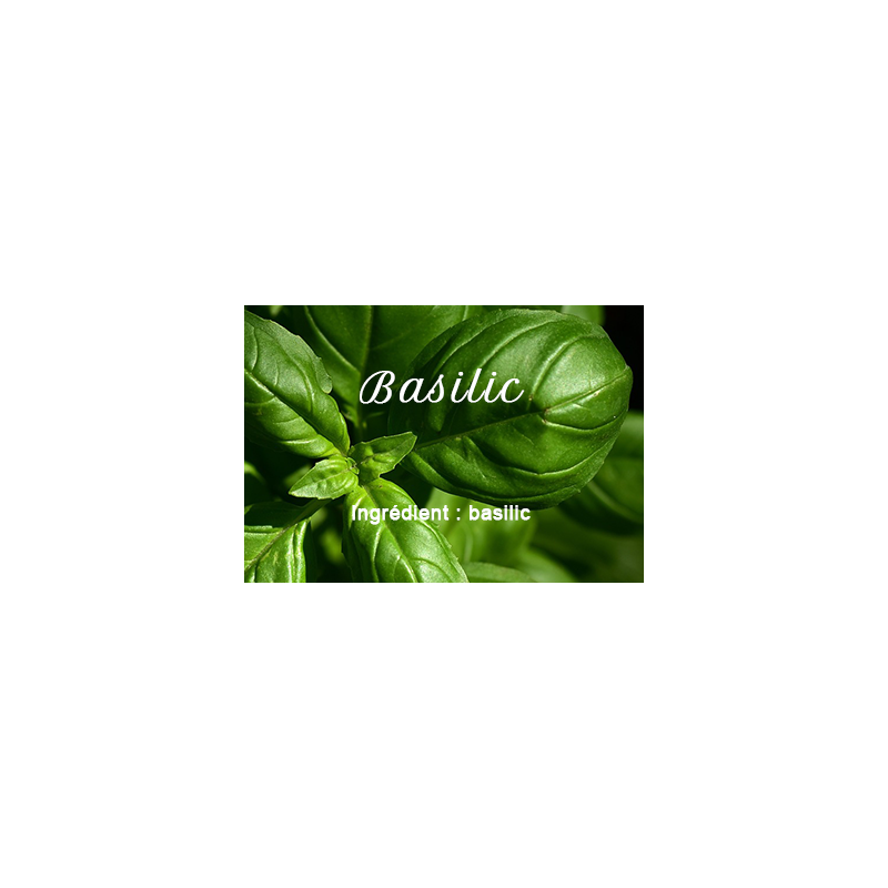 Albahaca