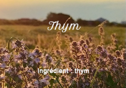 Thyme