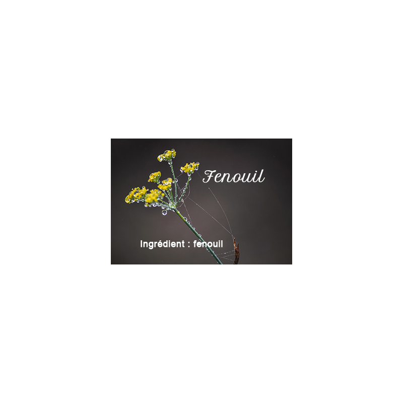 Fennel