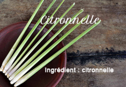 Citronnelle