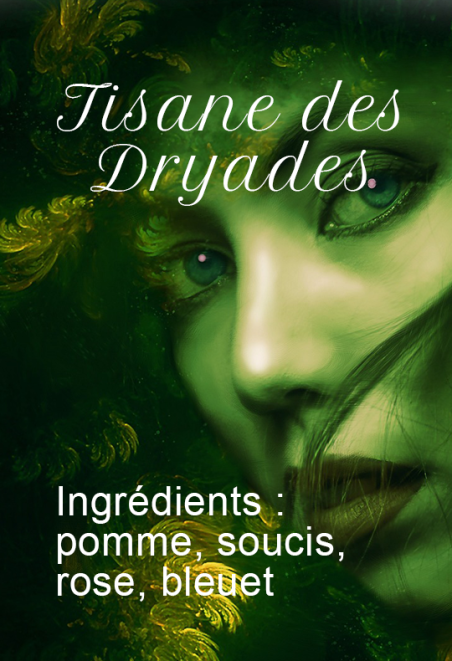 Tisane des Dryades Tisane des Dryades