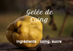 Gelée de Coing