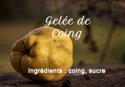 Quince jelly