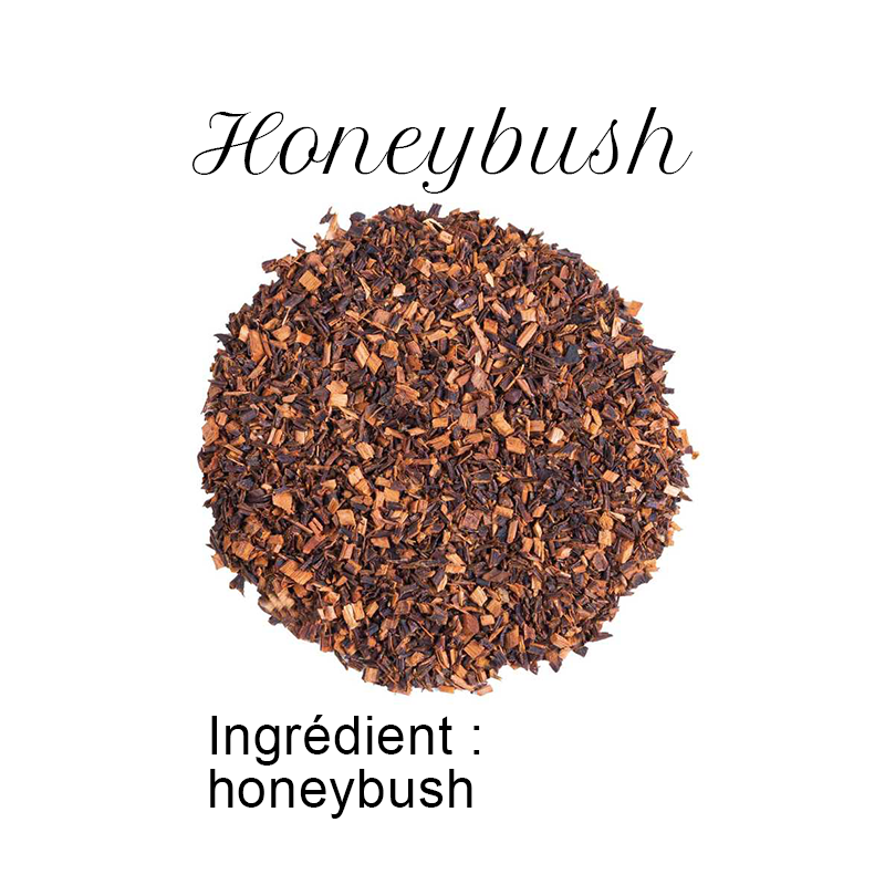 Honeybush d'Afrique du Sud