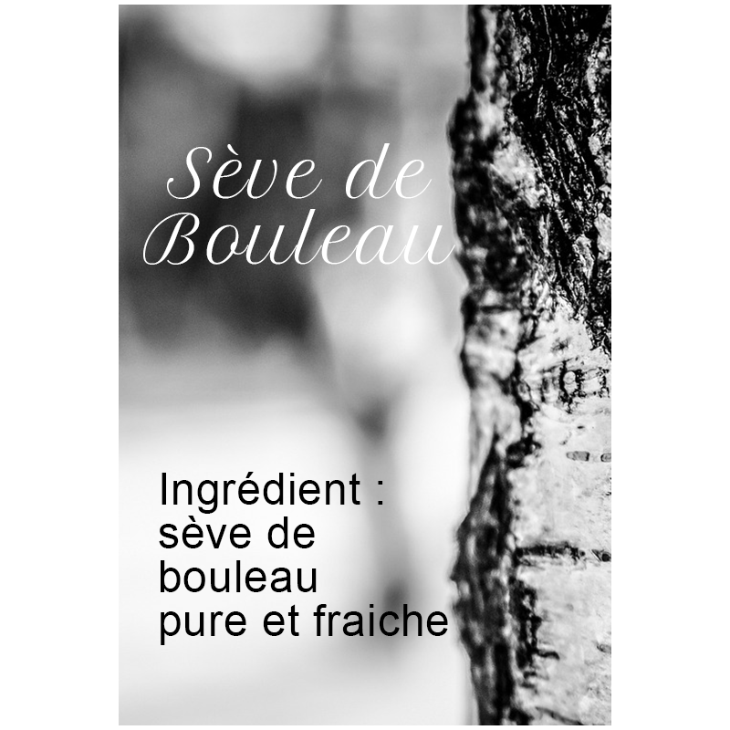 Sève de bouleau fraîche 1L (stock limité !)