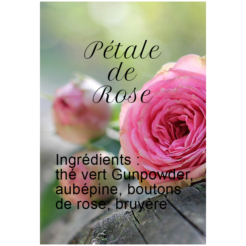 Pétale de Rose